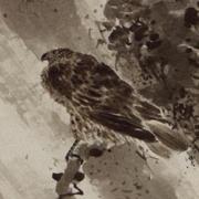 Photo of Guillaume Plique