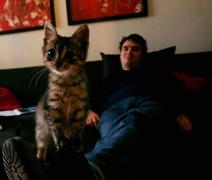 Photo of Mayel de Borniol