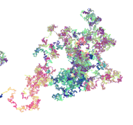 Photo of Phillip Tennen